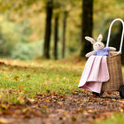 Auf einem Waldweg steht ein Korbwagen mit schwarzen Rädern, in dem ein Plüschhase in einem blauen Hemd und eine weiche KraftKids Babydecke Doppelkrepp Rosa liegen. Grünes Gras und herbstliche Bäume umgeben die Szene.